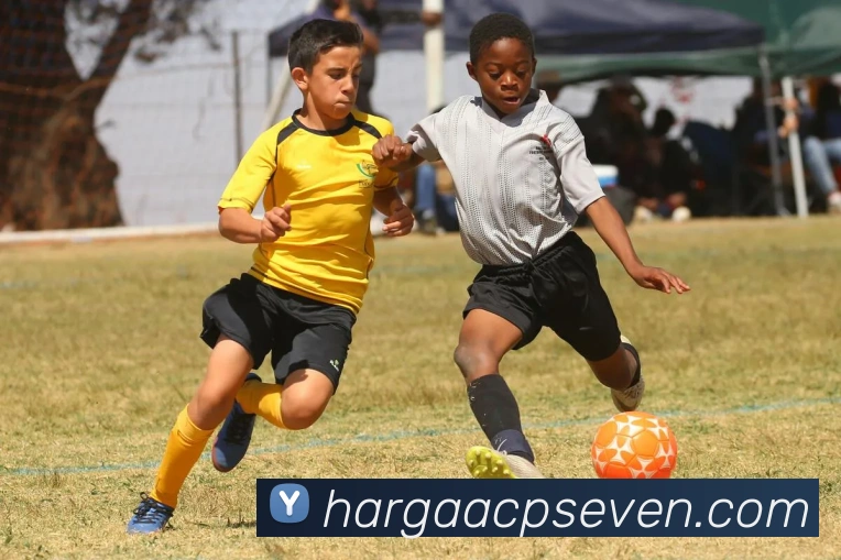 多端互动